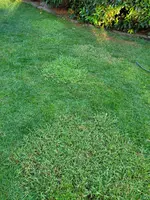 20250515_200310.webp