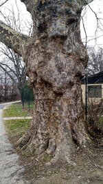 IMG_20180315_160626305.jpg