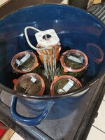 IMG_20250516_172409.jpg