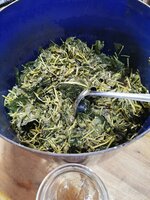 IMG_20250516_170641.jpg