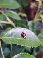 20250516_173205.jpg