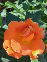 20250514_163904.webp