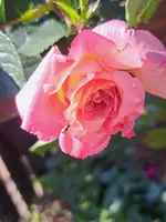 20250514_163814.webp