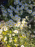 20250514_163659.webp