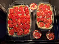 IMG_6854.jpeg