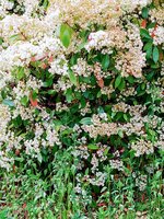 IMG_20250517_115820_1.jpg