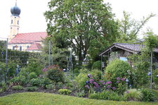 Mai       5425.JPG