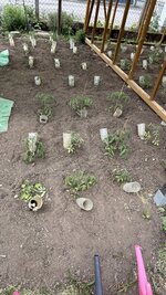 IMG_4320.jpeg