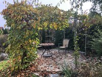 IMG_4225.jpeg