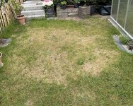 IMG_7501.jpeg