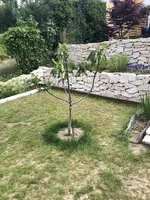 994D3BD1-D7D1-4977-8139-816CFA033568.webp 994D3BD1-D7D1-4977-8139-816CFA033568.webp