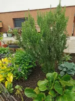 IMG_20250518_160654.webp