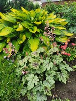 IMG_20250518_175505.jpg