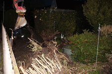 Hecke 0423.JPG