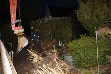 Hecke 0523.JPG