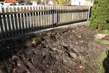 Hecke 1523.webp