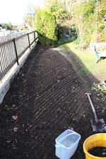 Hecke 1723.JPG