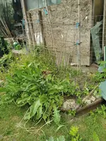 IMG_20250517_113042.webp