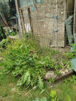 IMG_20250517_113042.jpg