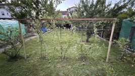 IMG_7881.jpg