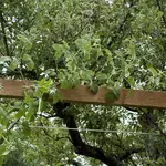 IMG_4338.webp