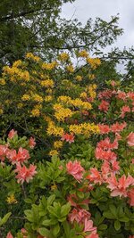 PXL_20250519_090622978.jpg