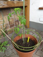 P1080007.JPG