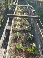 IMG_20250519_172638.webp IMG_20250519_172638.webp