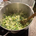 IMG_4389.jpeg