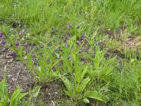 008.webp