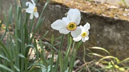 IMG_4396.jpeg
