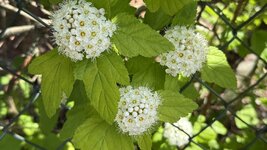 IMG_4400.jpeg