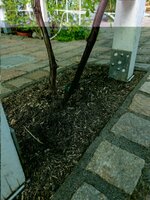 2025_05_25_unten.jpg