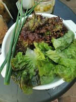 IMG_20250520_182717.jpg
