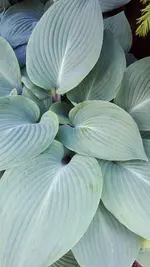 20250520_151348.webp