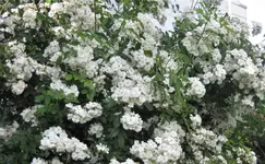 IMG_4753 (2).webp