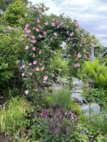 IMG_8633.jpeg