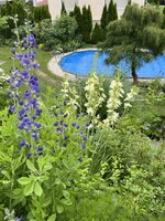 IMG_8640.jpeg