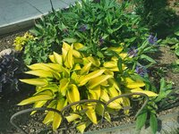 IMG_20250520_154356.jpg