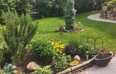 IMG_20250520_154857.jpg