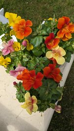PXL_20250522_105459900.jpg