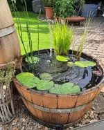 20210801_171854.webp 20210801_171854.webp