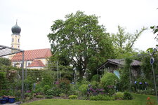 Mai       6925.JPG