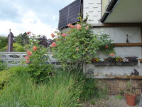 P1080010Terrasse.JPG