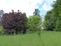 P1070969Übersicht.JPG
