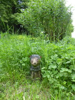 P1070982Löwe.JPG