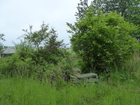 P1070992Steinbank.JPG