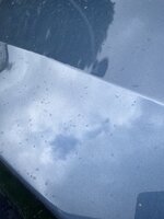 IMG_0294.JPEG