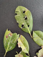 WhatsApp Image 2025-05-20 at 08.59.01(1).webp