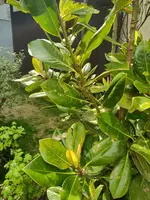 WhatsApp Image 2025-05-23 at 16.19.27(3).webp